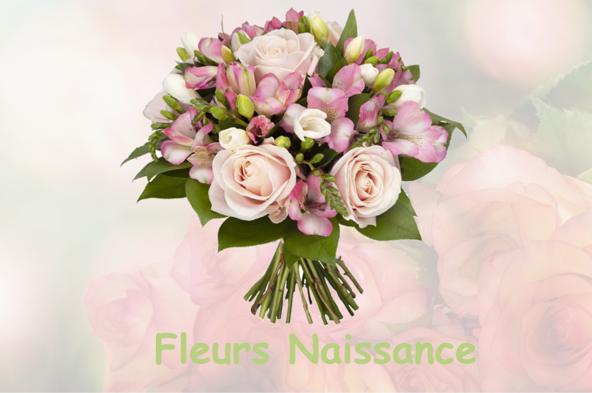 fleurs naissance NOYERS-SUR-CHER