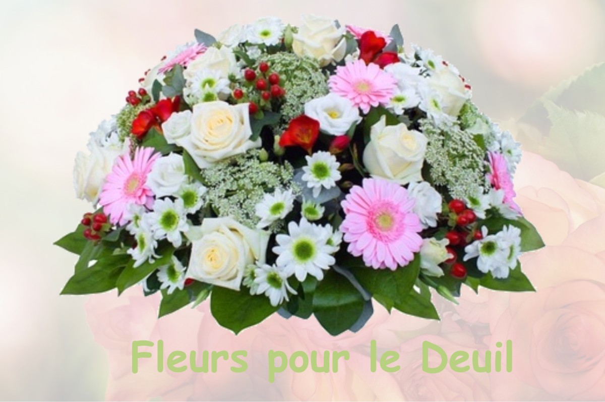 fleurs deuil NOYERS-SUR-CHER