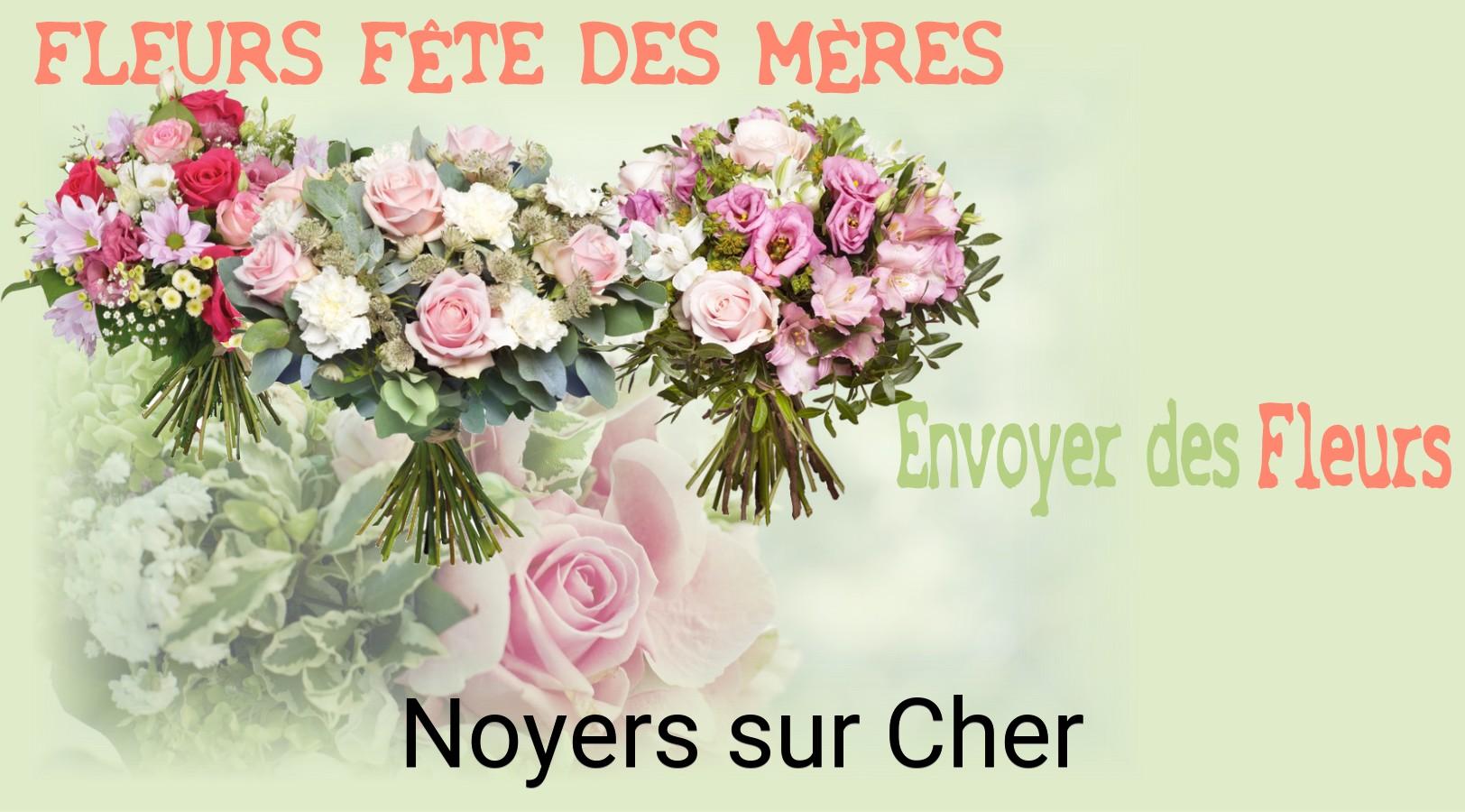 Bouquet de Fête des Mères livré à Noyers-sur-Cher